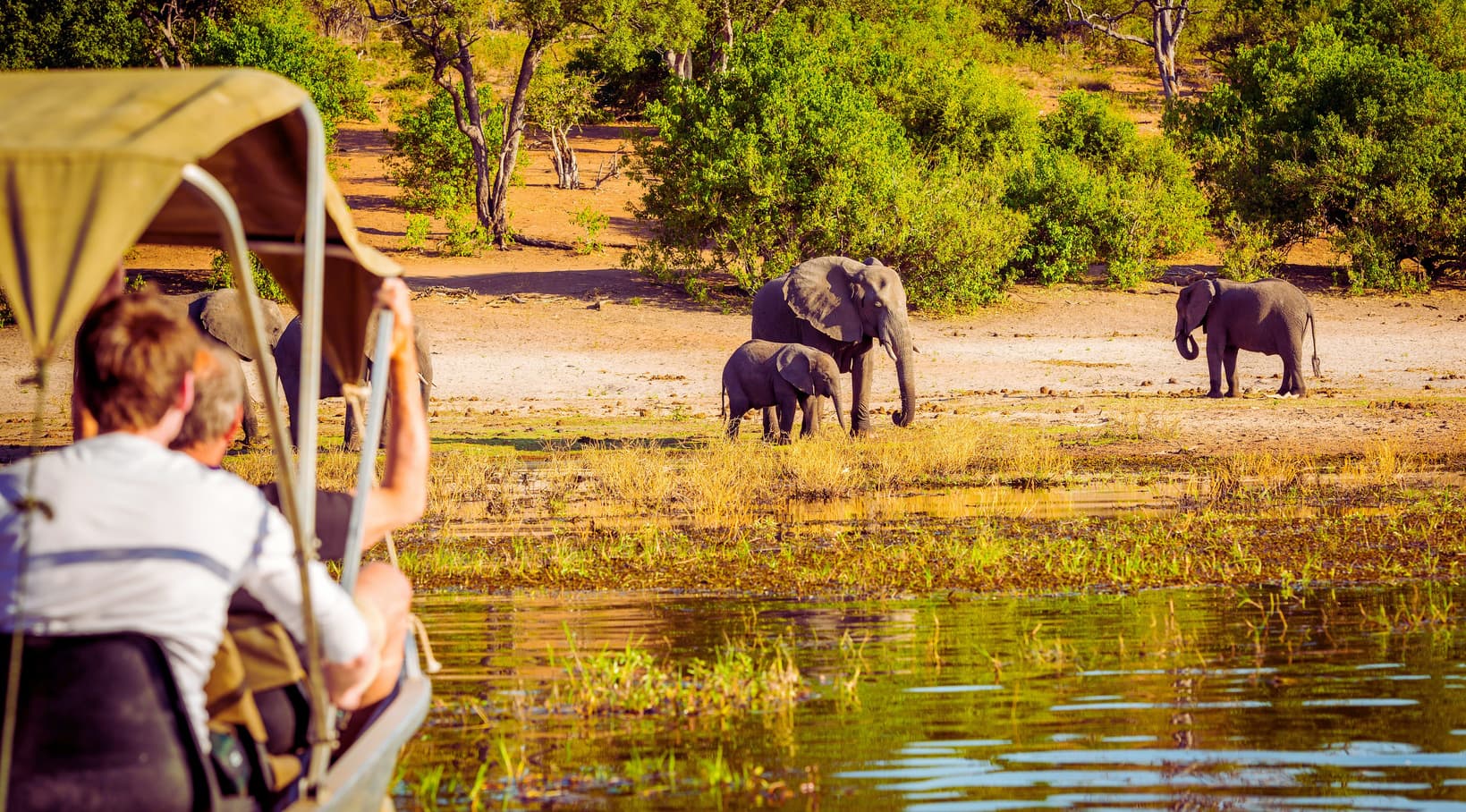 African Safari