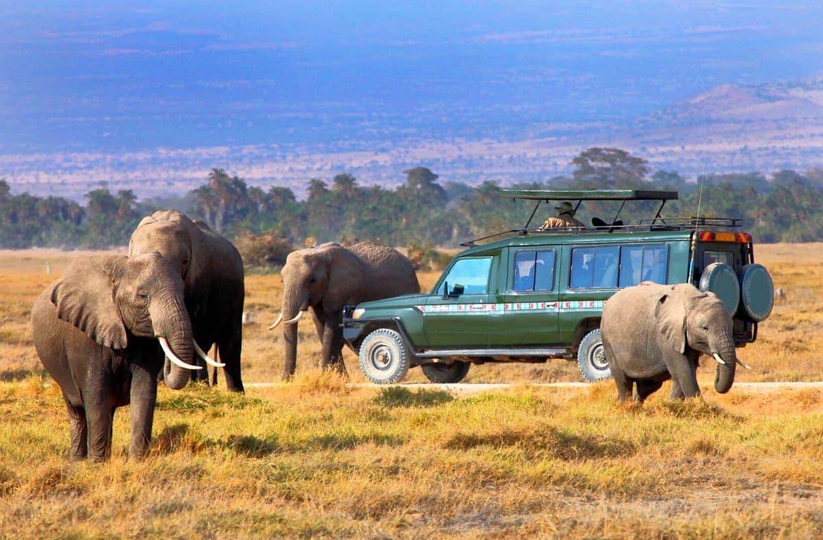 Masai Mara