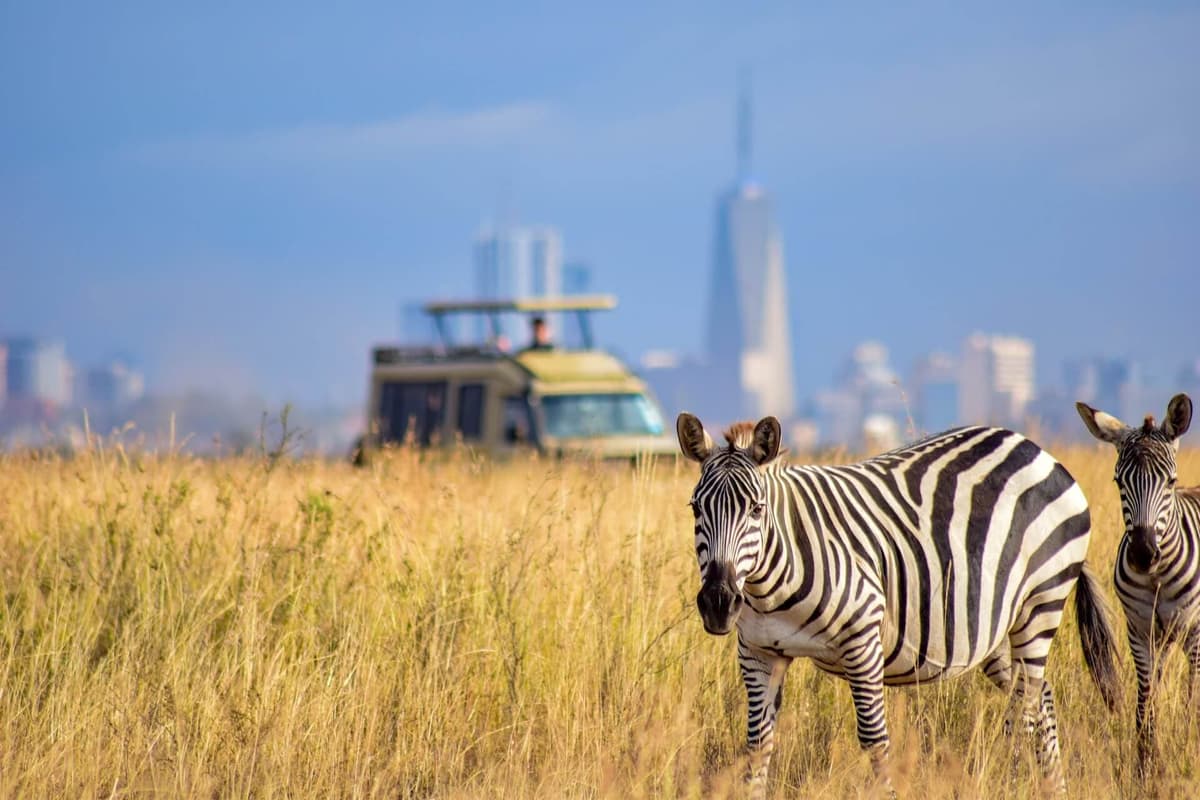 1 Day Nairobi Park Tour