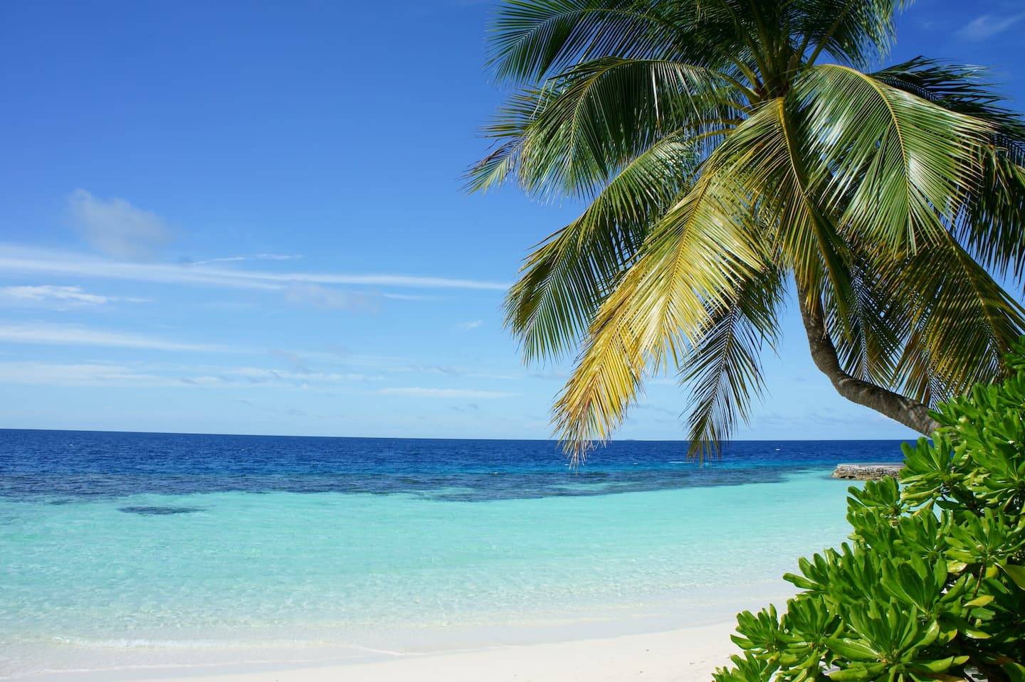 Get Ready for Enkai Tours & Travel's Spectacular December Holiday Offers