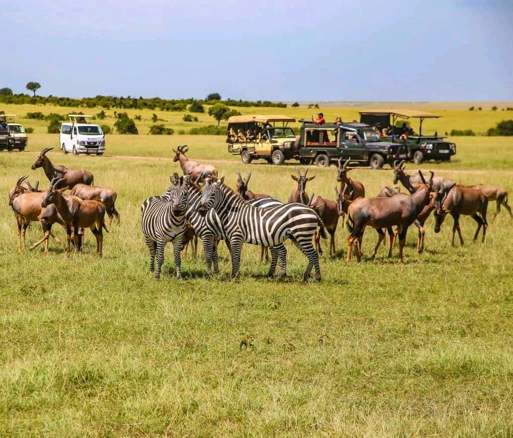 Maasai Mara 3 Days / 2 Nights Package 2