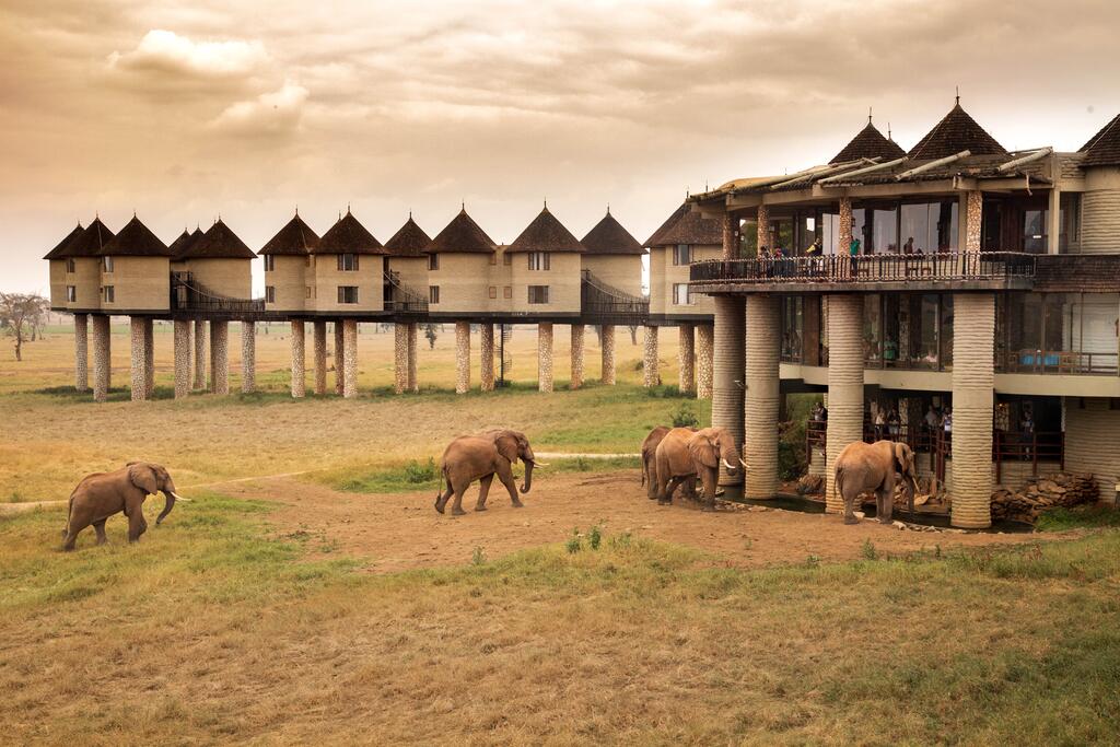 Madaraka Express & Salt Lick Lodge — Heart of Tsavo Package